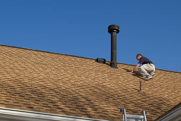 Roof Moss and Algae Removal in St Augustine Shores, FL